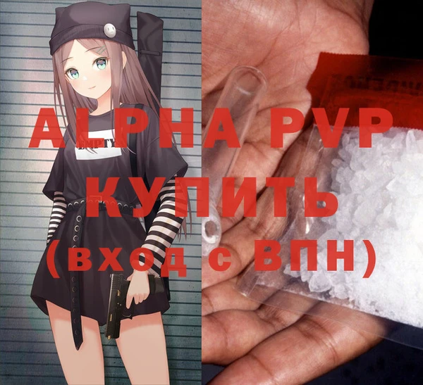 прущие грибы Абаза