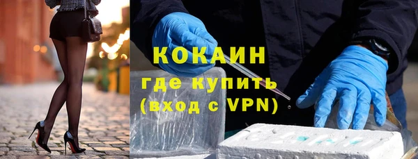 прущие грибы Абаза
