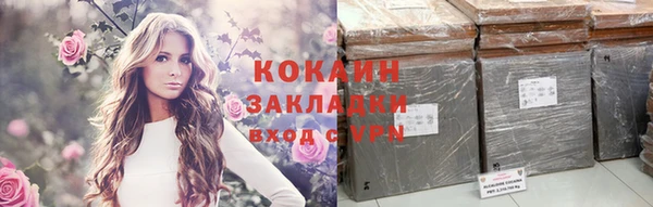 прущие грибы Абаза
