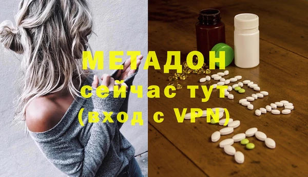 прущие грибы Абаза