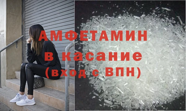 прущие грибы Абаза