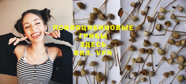 гидропоника Абинск