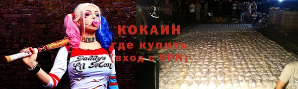 прущие грибы Абаза