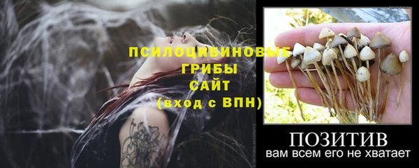 гидропоника Абинск